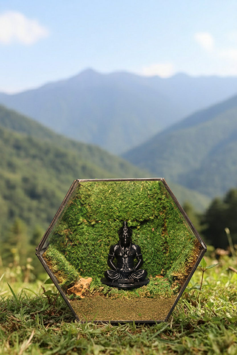 Hanuman Ji's Black Hexagon Terrarium