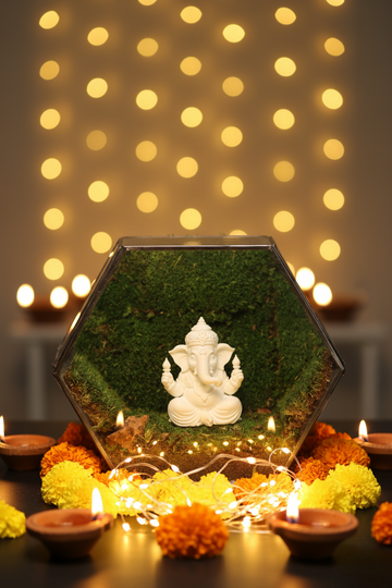 Ganesh Ji's White Hexagon Terrarium