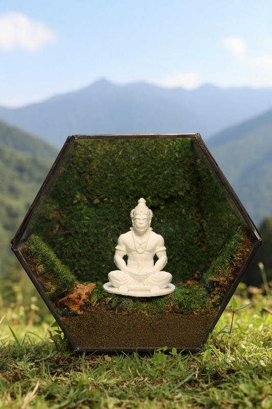 Hanuman Ji's White Hexagon Terrarium