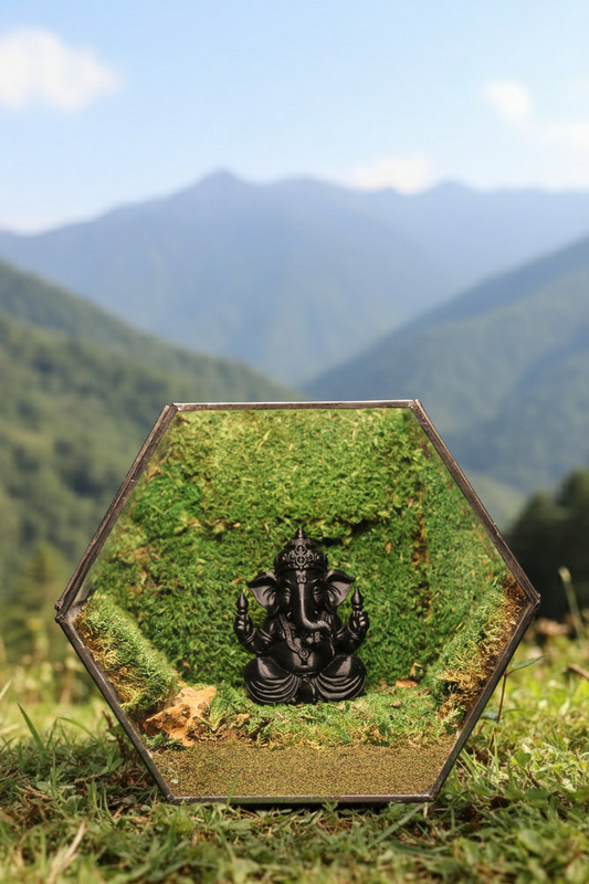 Ganesh Ji's Black Hexagon Terrarium
