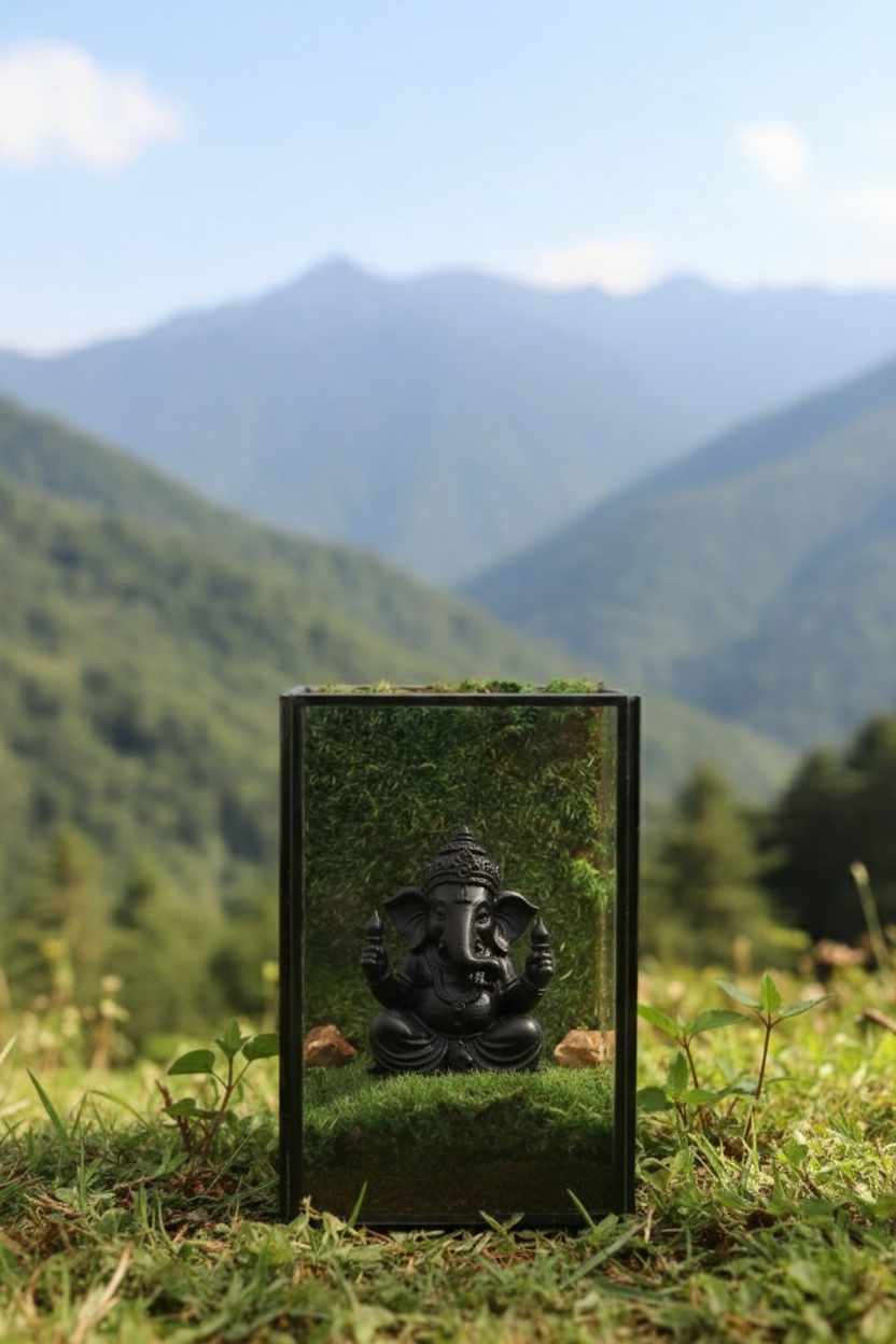 Lord Ganesha's Black Sqaure Terrarium