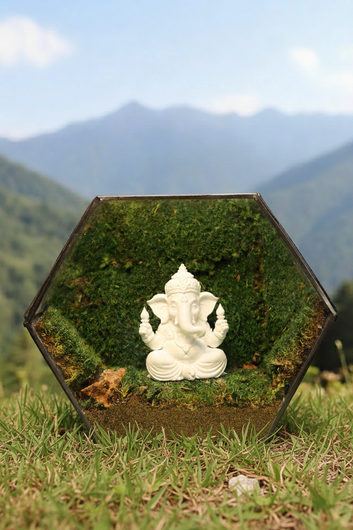 Ganesh Ji's White Hexagon Terrarium