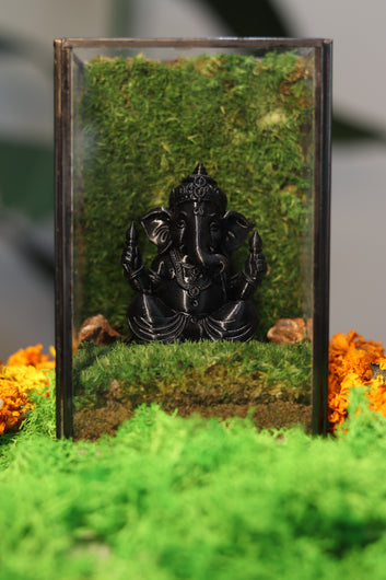 Lord Ganesha's Black Sqaure Terrarium
