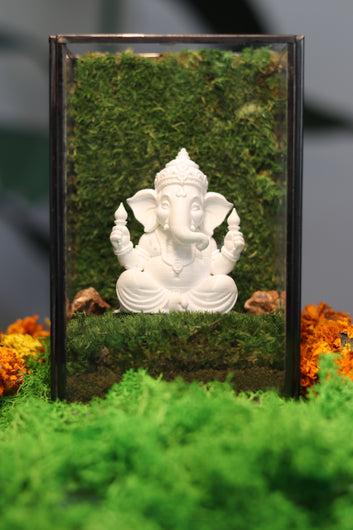 Lord Ganesha's White Sqaure Terrarium