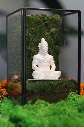 Hanuman Ji's White Sqaure Terrarium