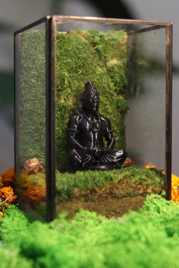 Hanuman Ji's Black Sqaure Terrarium