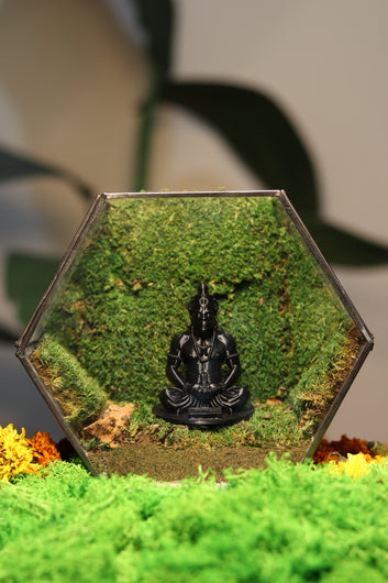 Hanuman Ji's Black Hexagon Terrarium