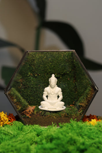 Hanuman Ji's White Hexagon Terrarium